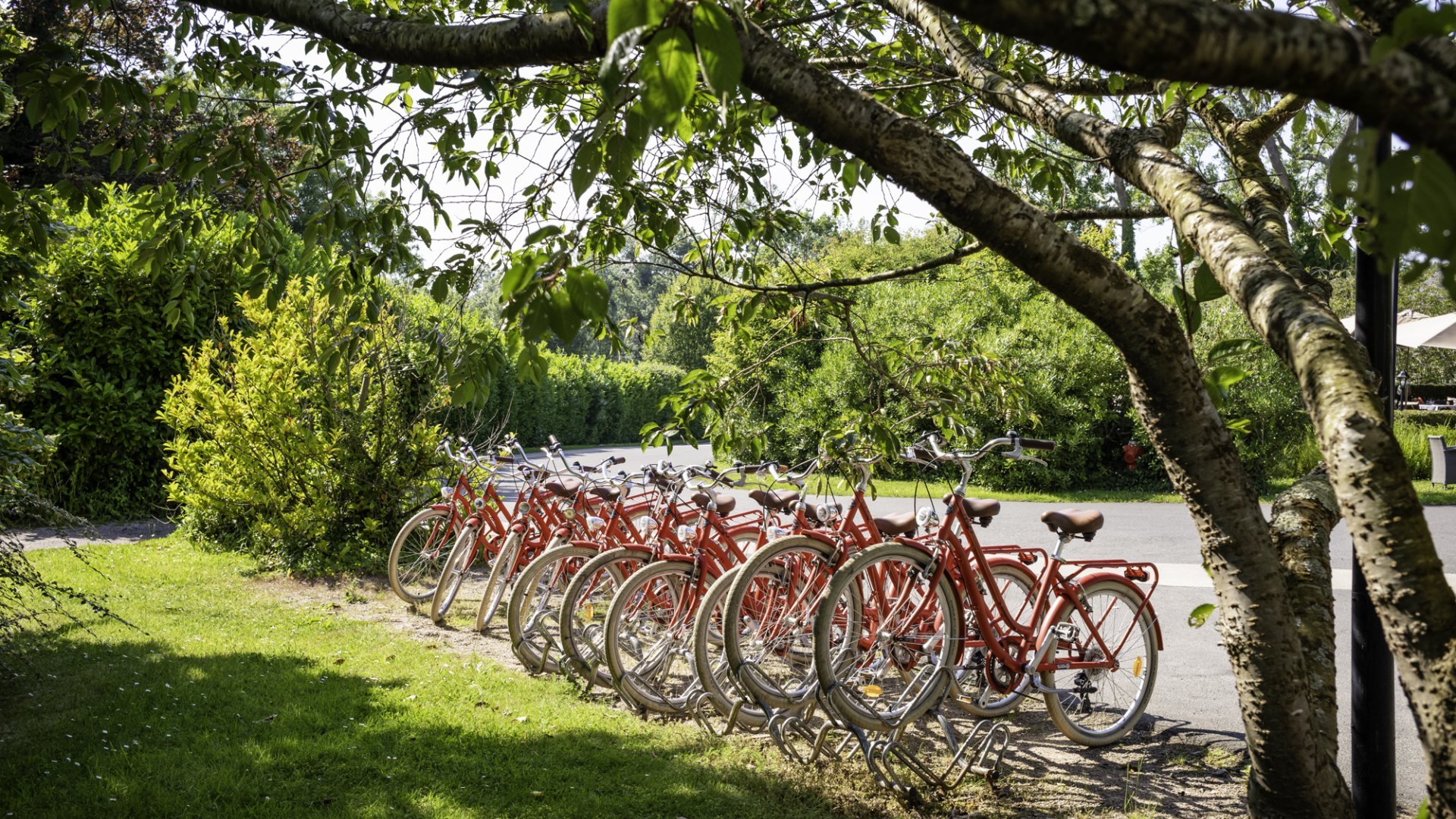 Vélos
